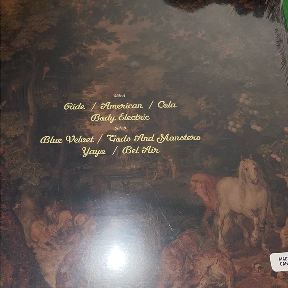 Lana Del Rey - Paradise 12” Standard Vinyl - Picture 4 of 6